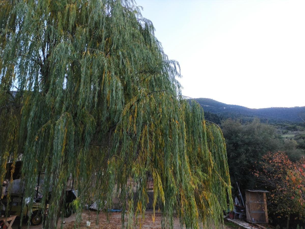 Oneiropagidasuites Kalavryta Exterior photo